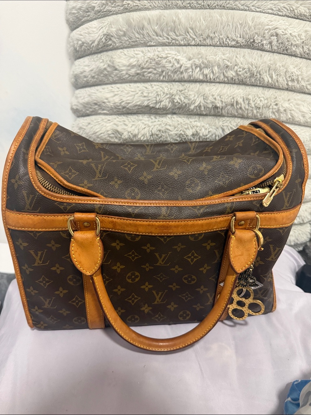 Louis Vuitton Monogram Baxter Pet Carrier